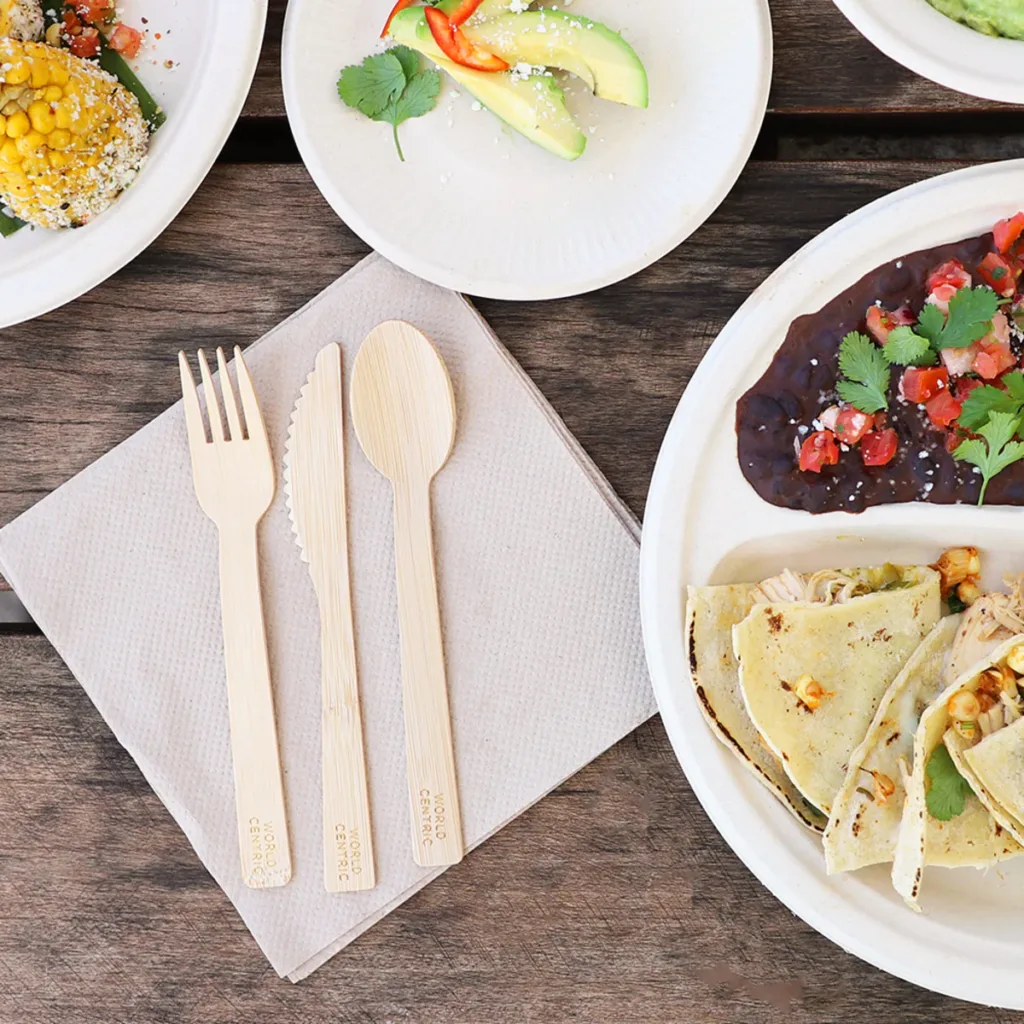 Insights into Sustainable Disposable Cutlery