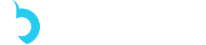 BluLabs Logo