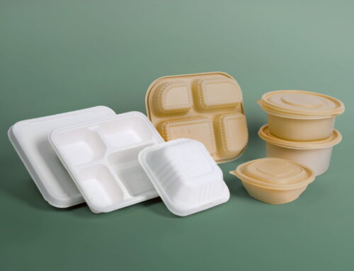 Unwrap the Future: Sustainable Alternatives to Plastic Food Packaging