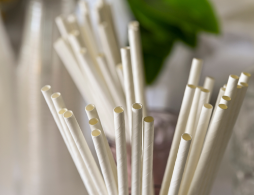 Trump’s Latest Executive Order on Plastic Straws: What It Means and What We Should Be Talking About